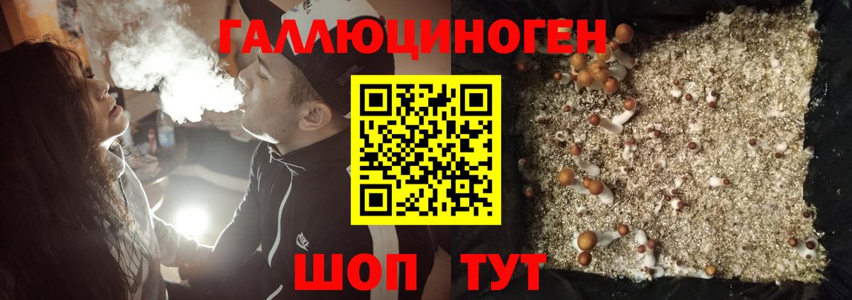 Псилоцибиновые грибы Psilocybe  Псилоцибиновые грибы ЛСД  хочу   Вход с VPN  Красноармейск 